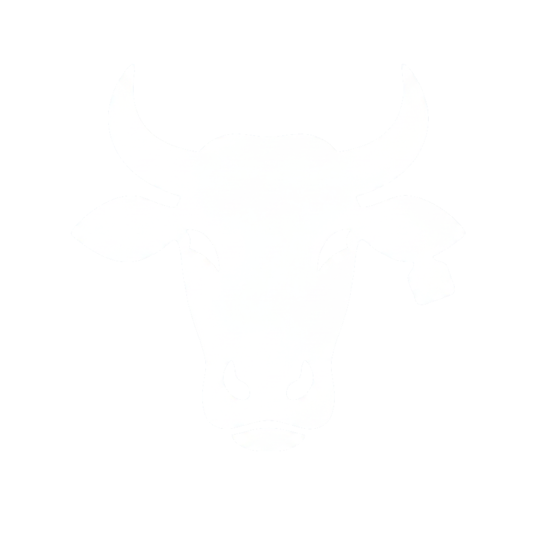 BoiTrack Logo